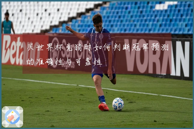 买世界杯竞猜时如何判断冠军预测的准确性与可靠性