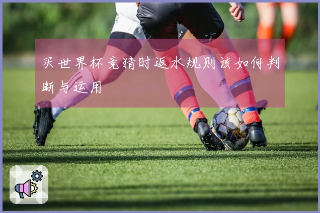 买世界杯竞猜时返水规则该如何判断与运用