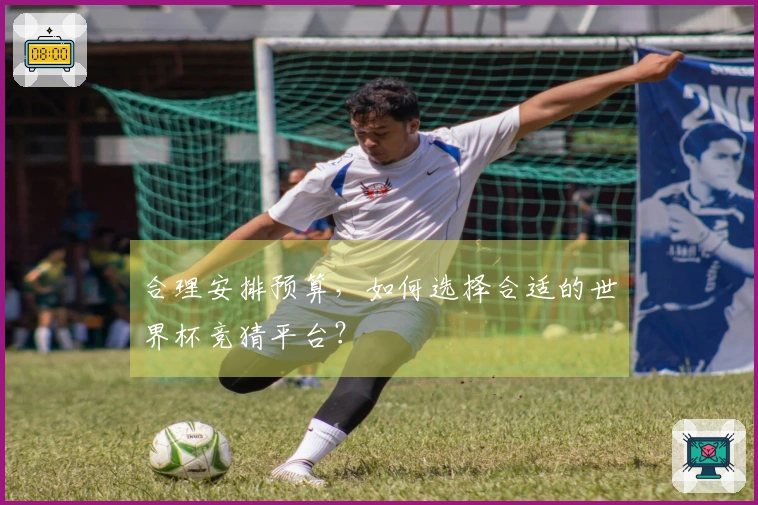 合理安排预算，如何选择合适的世界杯竞猜平台？