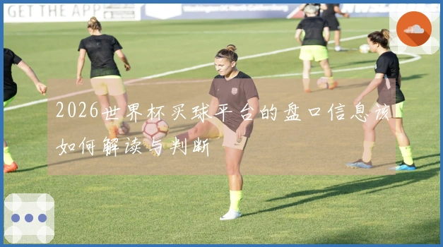 2026世界杯买球平台的盘口信息该如何解读与判断