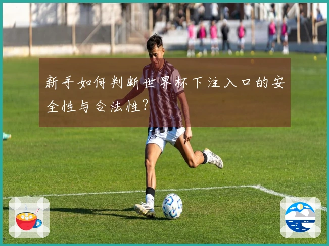 新手如何判断世界杯下注入口的安全性与合法性？