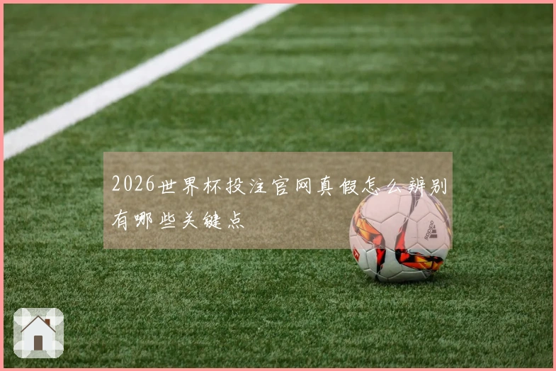 2026世界杯投注官网真假怎么辨别有哪些关键点