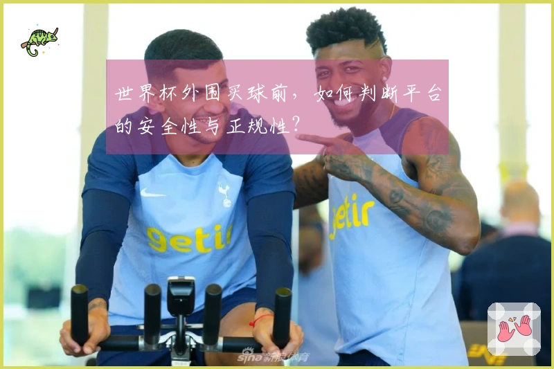 世界杯外围买球前，如何判断平台的安全性与正规性？