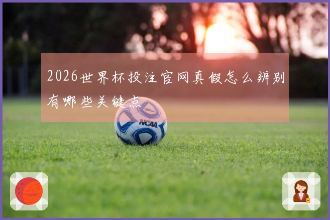 2026世界杯投注官网真假怎么辨别有哪些关键点