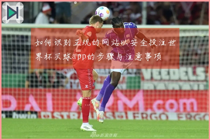 如何识别正规的网站以安全投注世界杯买球app的步骤与注意事项