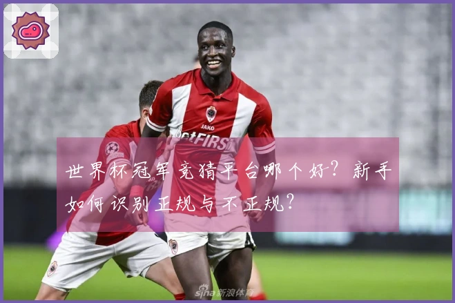 世界杯冠军竞猜平台哪个好？新手如何识别正规与不正规？