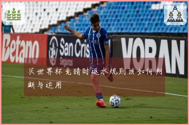 买世界杯竞猜时返水规则该如何判断与运用