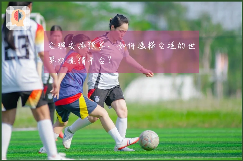 合理安排预算，如何选择合适的世界杯竞猜平台？