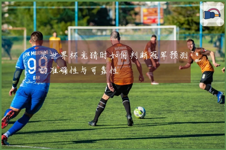 买世界杯竞猜时如何判断冠军预测的准确性与可靠性